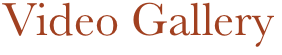Video Gallery